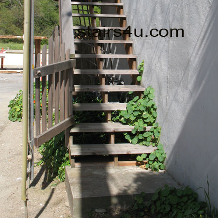 plant growing through wood stairs creating safety problems